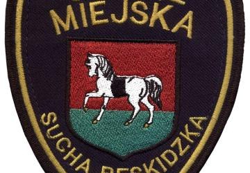 KONTROLE STRAŻY MIEJSKIEJ