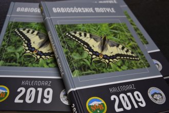 Kalendarz SGB 2019 - Babiogórskie motyle