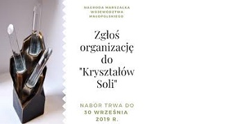 Kryształy Soli – konkurs dla Organizacji Pozarządowych