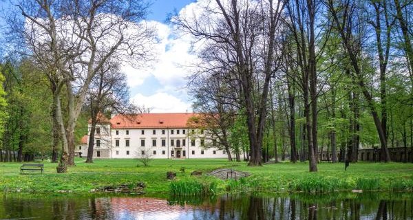 Rewitalizacja parku zamkowego – inwestycja w zieloną przyszłość miasta