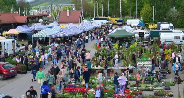 Zapraszamy na Targi Kwiatowe
