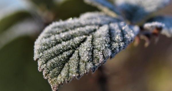 Ostrzeżenie meteorologiczne. To będzie bardzo zimna noc