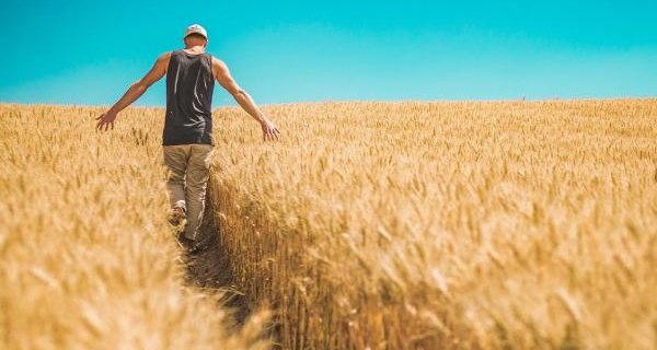 KRUS przypomina o warunkach przyznawania świadczeń emerytalnych