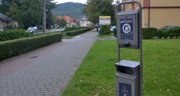 Posiadanie psa to nie tylko przyjemność, ale również obowiązki