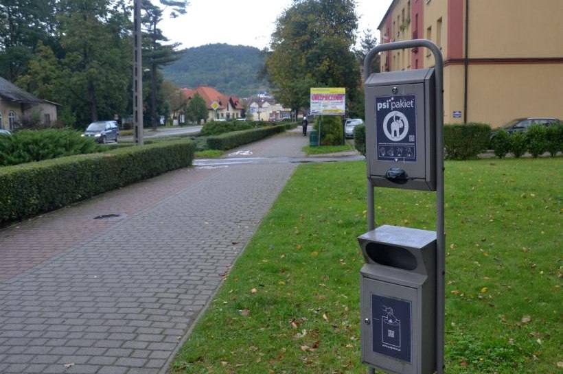 Posiadanie psa to nie tylko przyjemność, ale również obowiązki