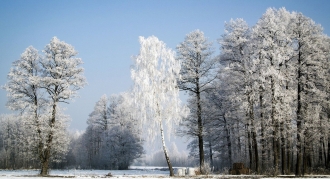 Ostrzeżenie! Opady śniegu będą się utrzymywały